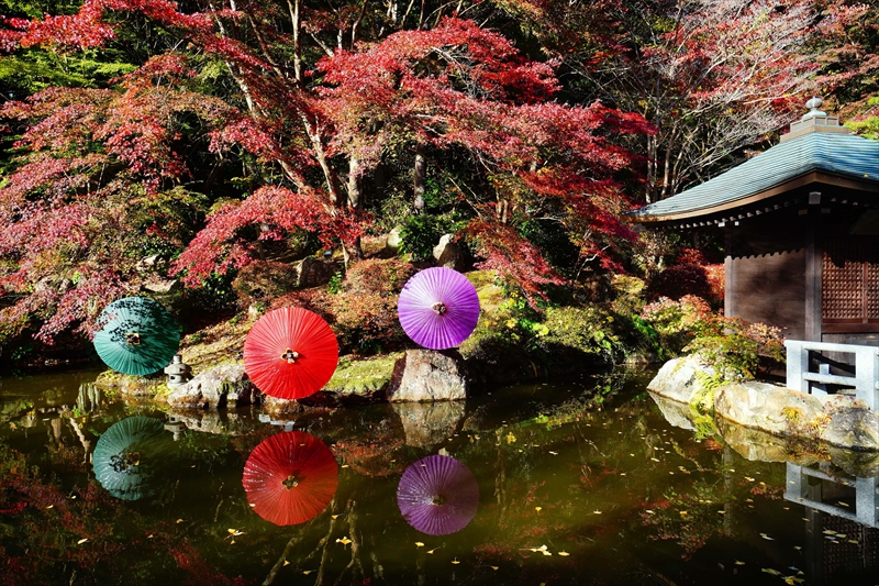 1035_法多山尊永寺_静岡