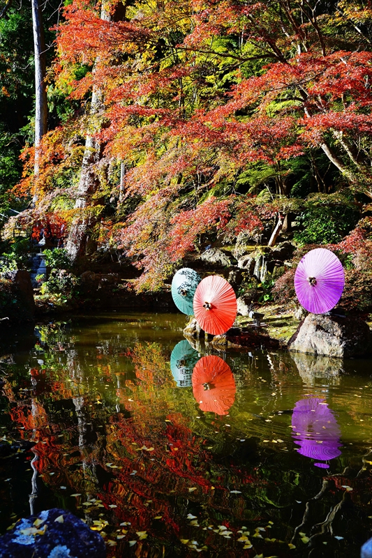 1037_法多山尊永寺_静岡