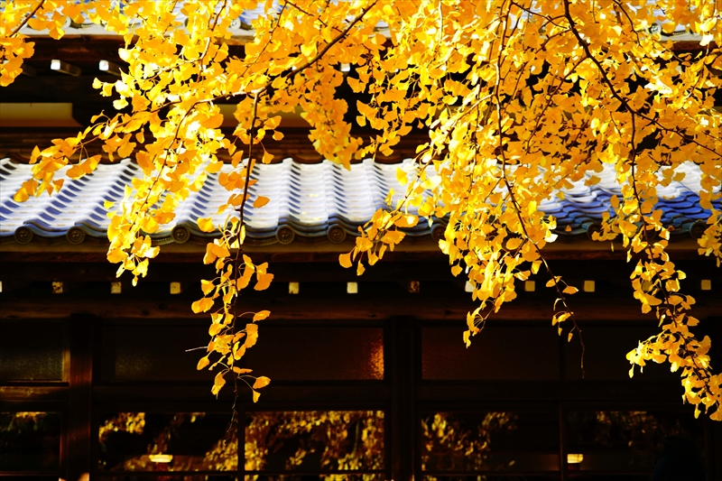 1040_法多山尊永寺_静岡