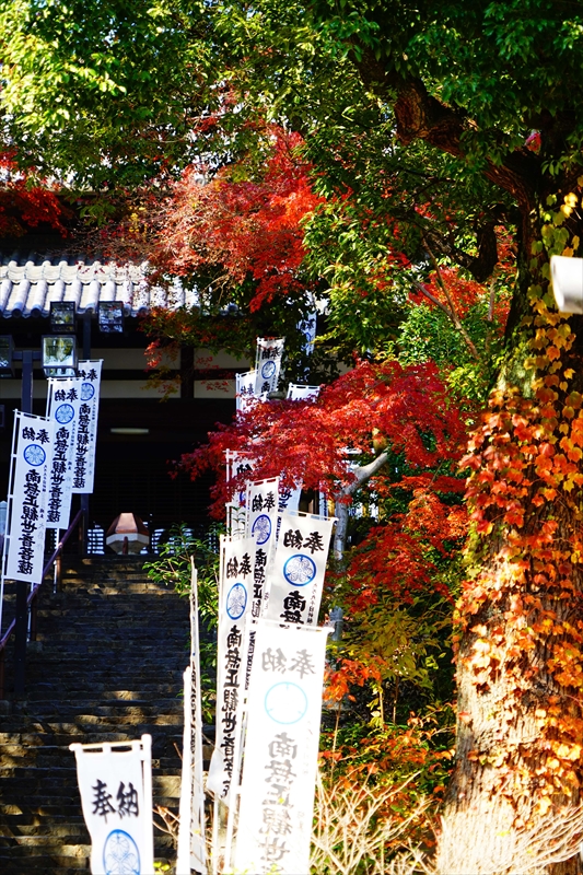 1038_八事山興正寺_愛知