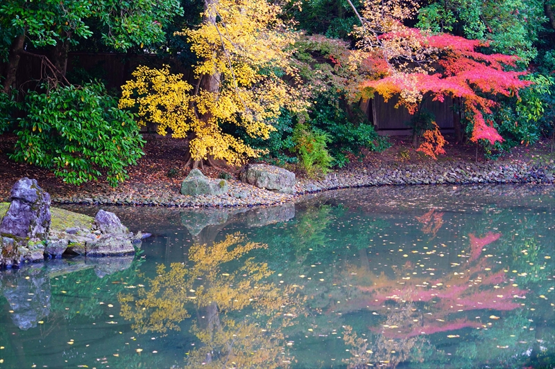 1076_洛中 京都御苑_京都