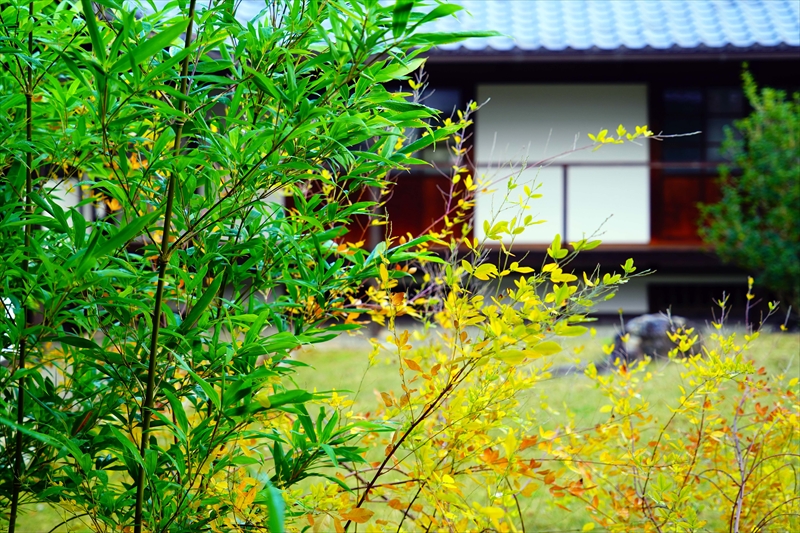 1087_洛中 京都御苑_京都