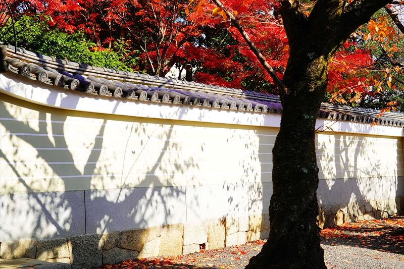 1157_洛中 妙顕寺_京都