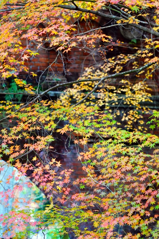 1134_洛東 南禅寺_京都