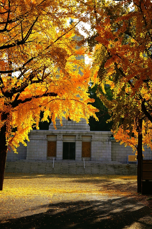 1004_大阪城_大阪