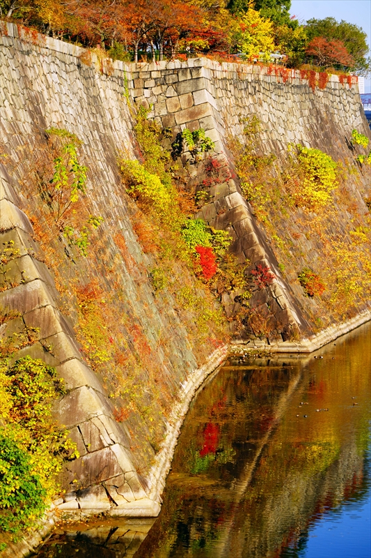 1013_大阪城_大阪