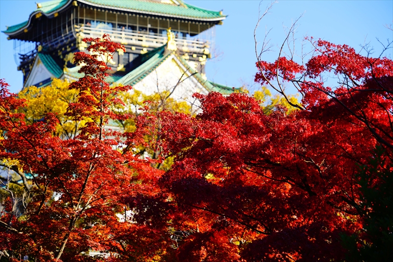1023_大阪城_大阪
