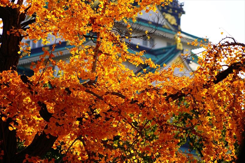 1034_大阪城_大阪