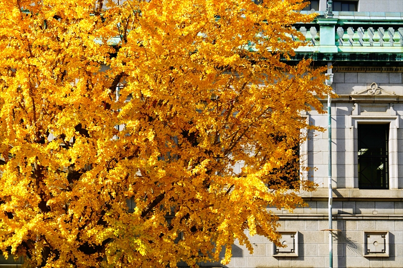 1002_日本銀行大阪支店_大阪