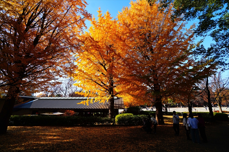 1022_上野恩賜公園_東京