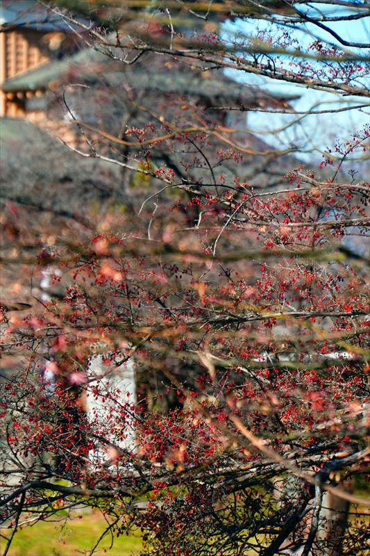 1002_高島城_長野
