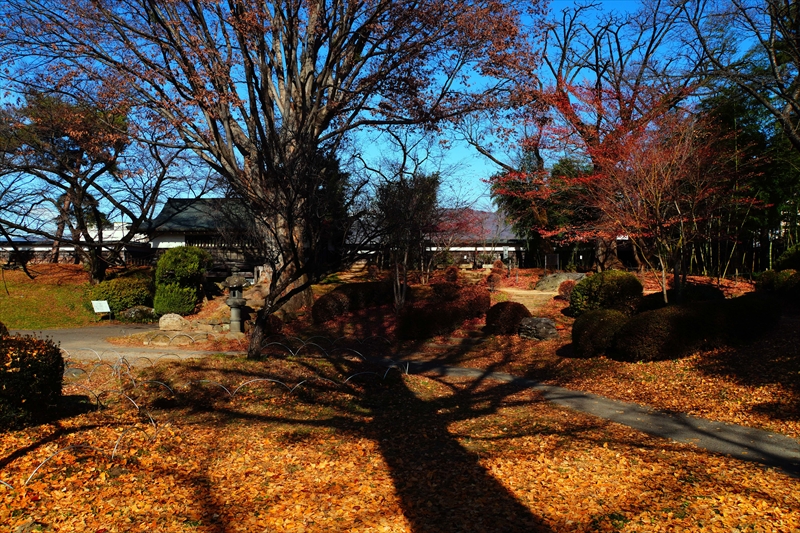 1006_高島城_長野