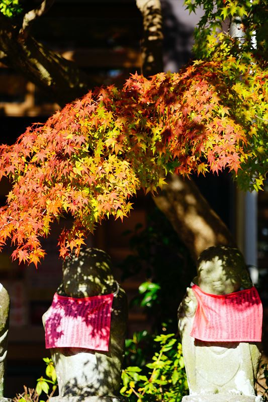 1028_神戸市須磨寺_兵庫