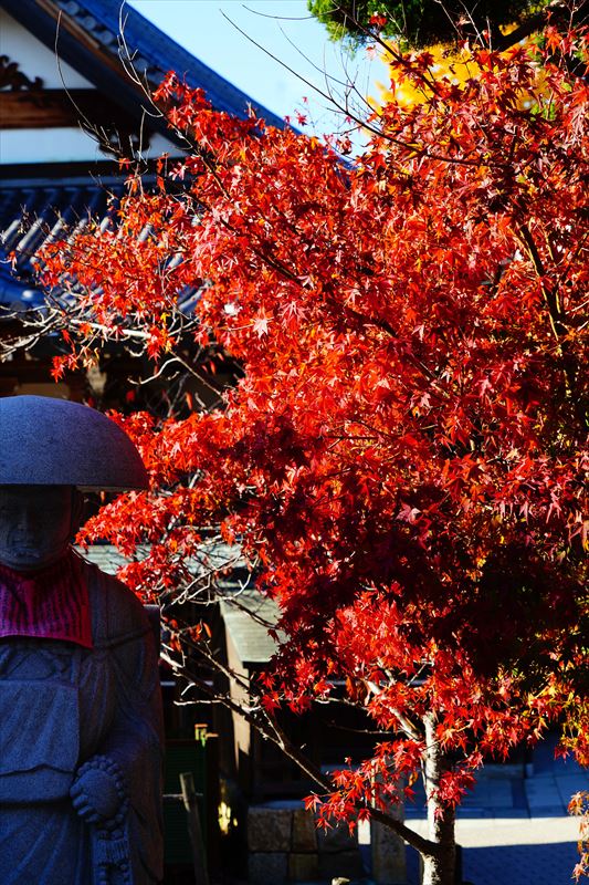 1031_神戸市須磨寺_兵庫
