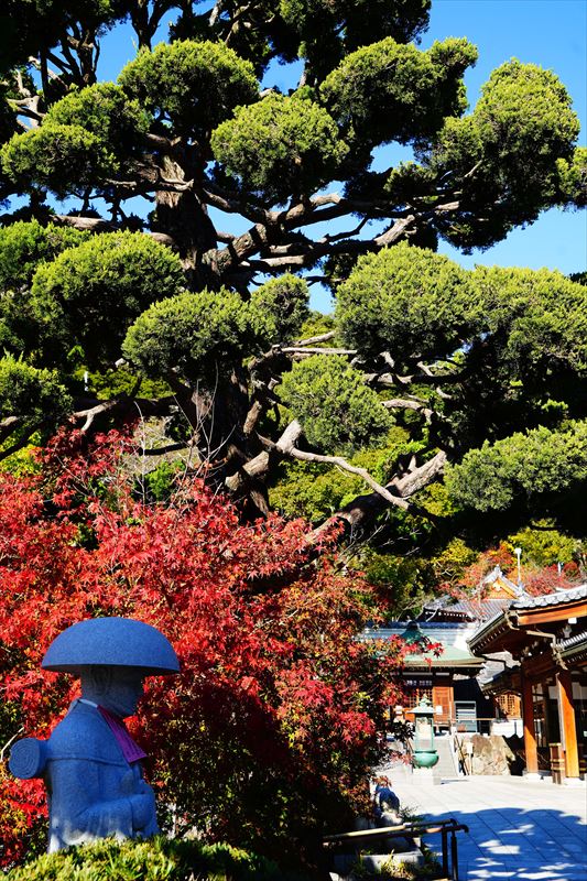 1032_神戸市須磨寺_兵庫