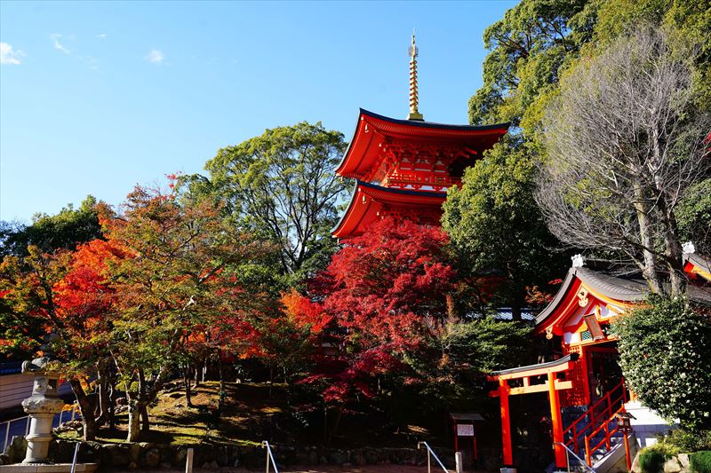 1034_神戸市須磨寺_兵庫
