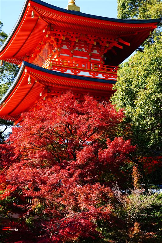 1035_神戸市須磨寺_兵庫