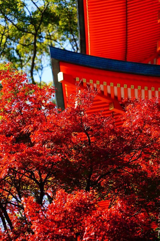 1037_神戸市須磨寺_兵庫