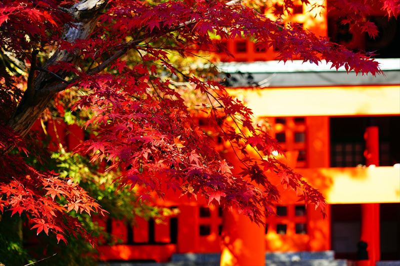 1039_神戸市須磨寺_兵庫