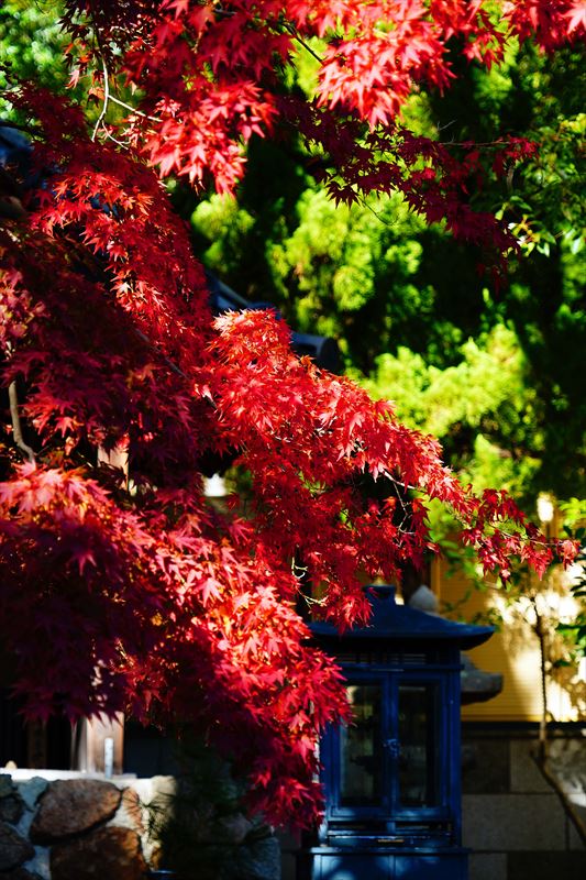 1041_神戸市須磨寺_兵庫