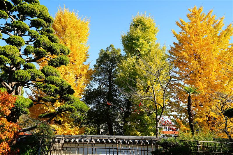 1043_神戸市須磨寺_兵庫