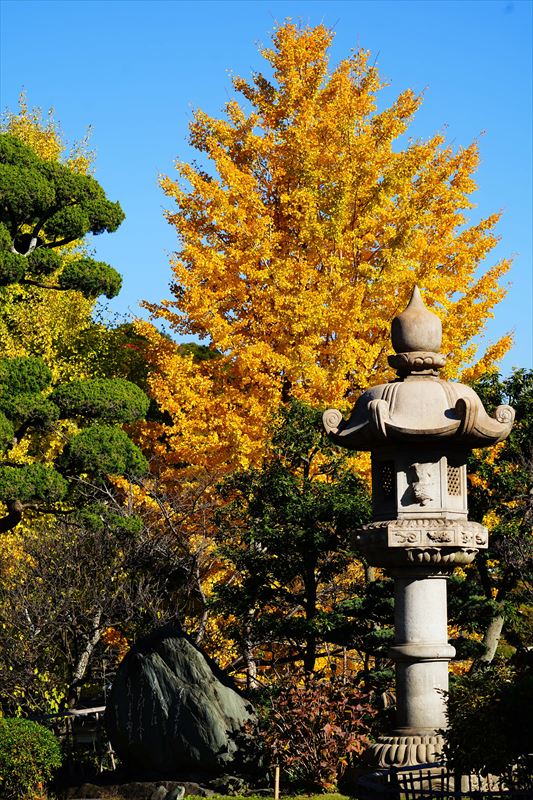 1045_神戸市須磨寺_兵庫