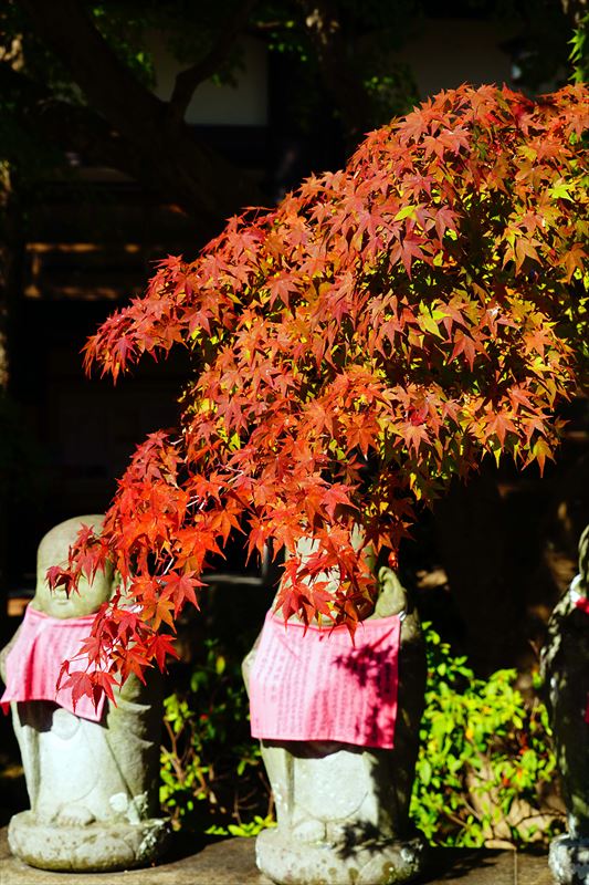 1047_神戸市須磨寺_兵庫