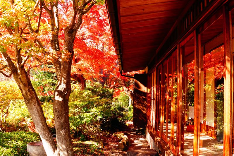 1054_神戸市須磨離宮公園_兵庫