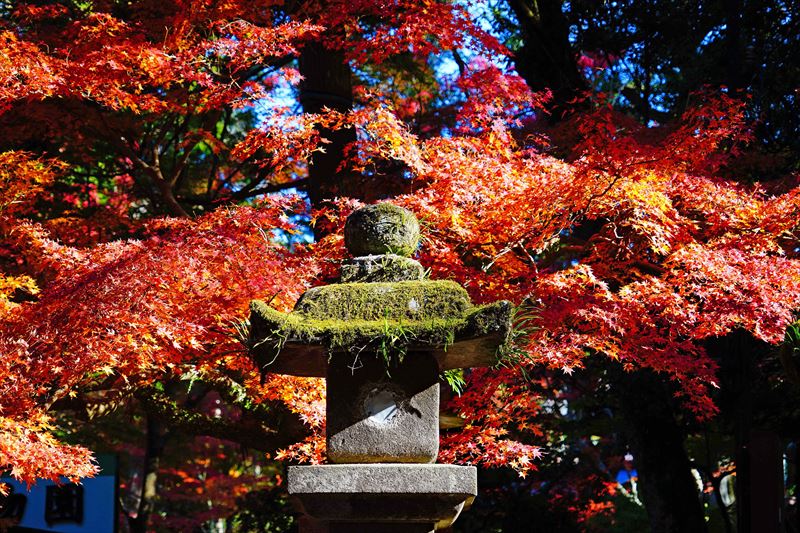 1099_春日大社_奈良