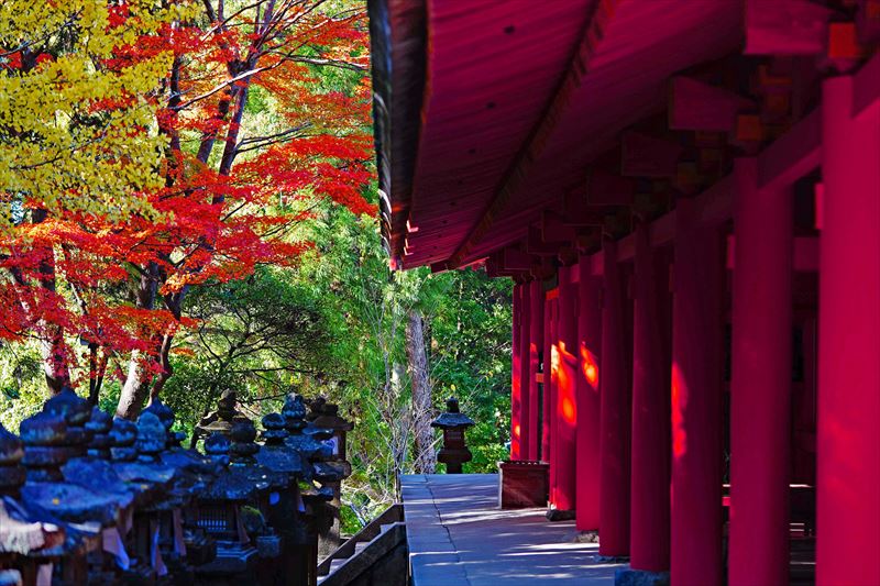 1101_春日大社_奈良