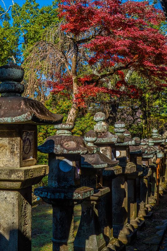 1103_春日大社_奈良