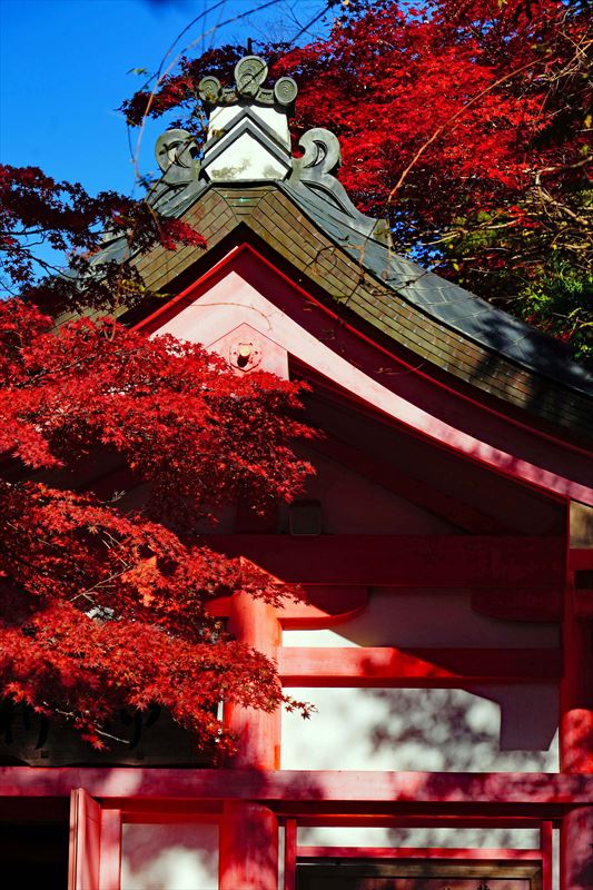 1106_春日大社_奈良