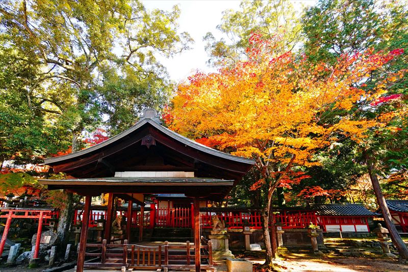 1112_手向山八幡宮_奈良