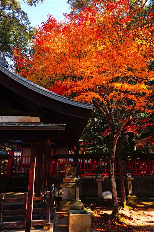 1113_手向山八幡宮_奈良