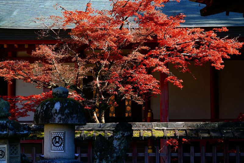 1114_手向山八幡宮_奈良