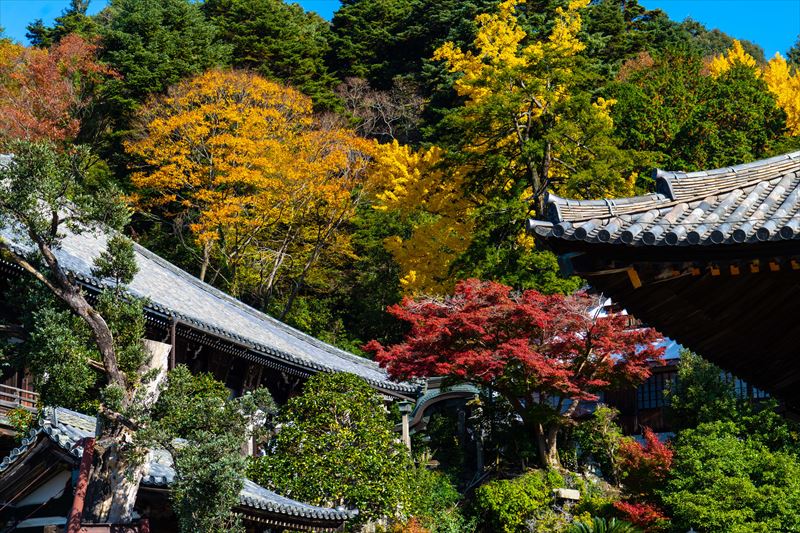 1128_東大寺二月堂_奈良