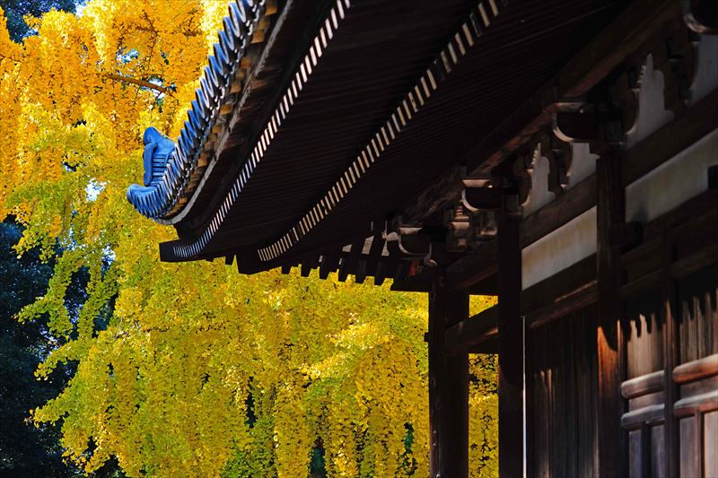 1133_東大寺大湯屋_奈良