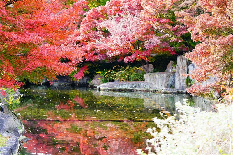 1004_名古屋市徳川園_愛知