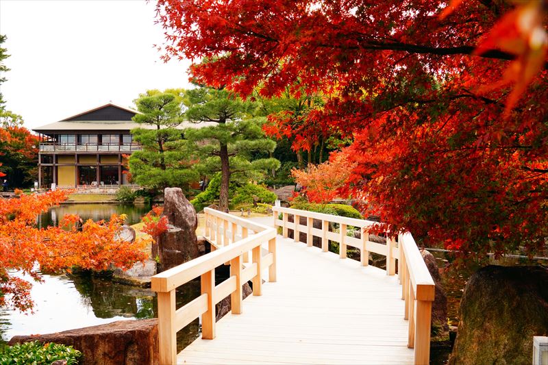 1005_名古屋市徳川園_愛知