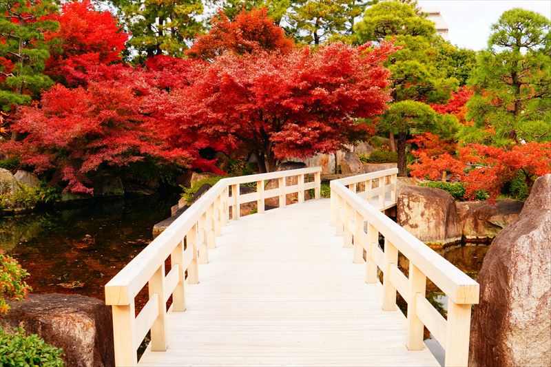 1008_名古屋市徳川園_愛知