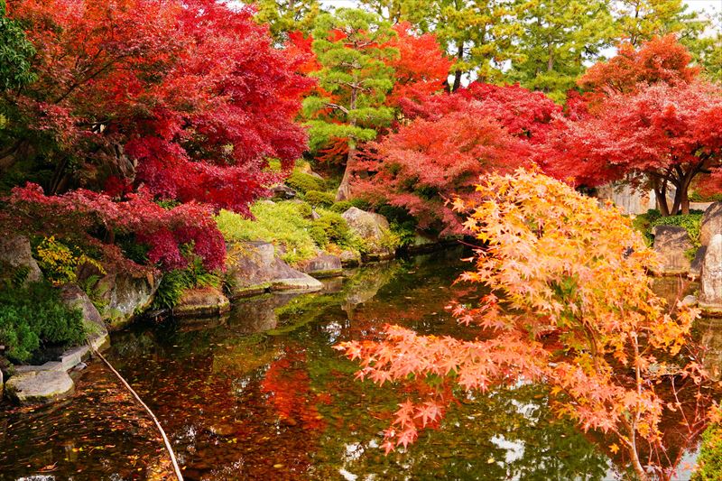 1009_名古屋市徳川園_愛知