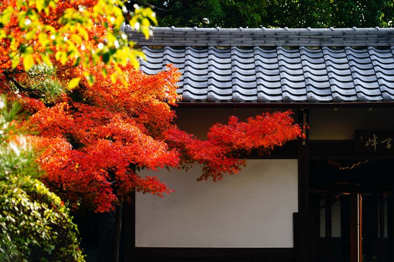 1023_名古屋市徳源寺_愛知