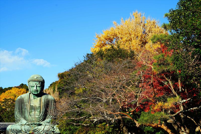 1091_鎌倉大仏_神奈川