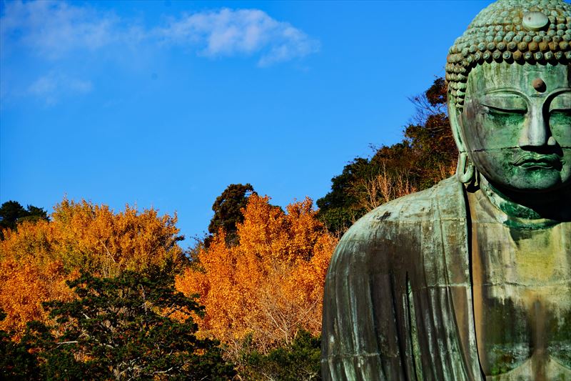 1092_鎌倉大仏_神奈川