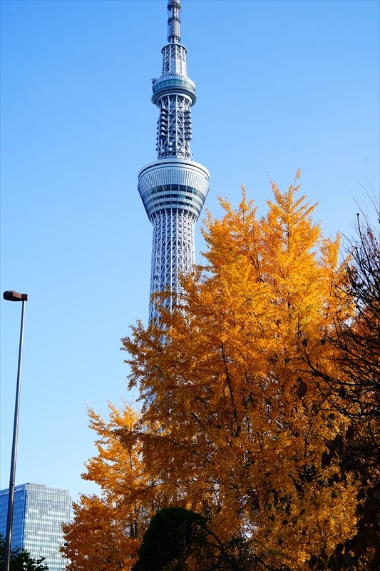 1125_江東区猿江恩賜公園_東京