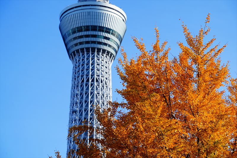 1126_江東区猿江恩賜公園_東京