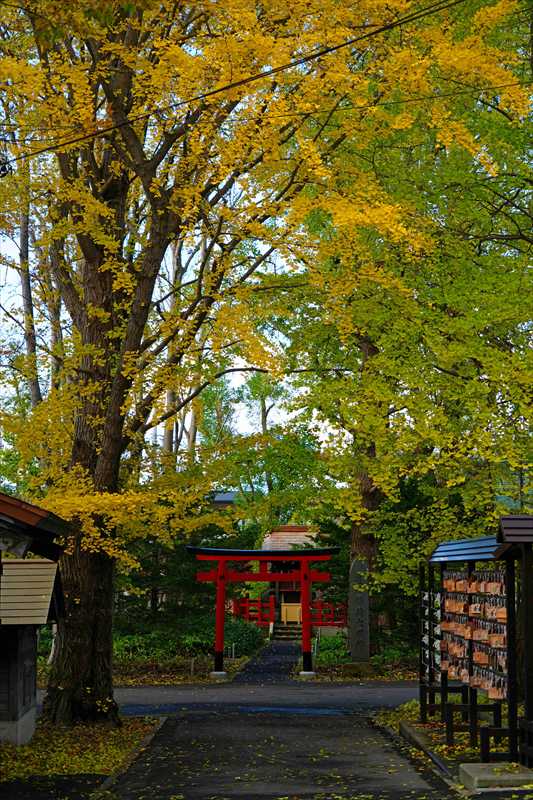 1002_函館亀田八幡宮_北海道