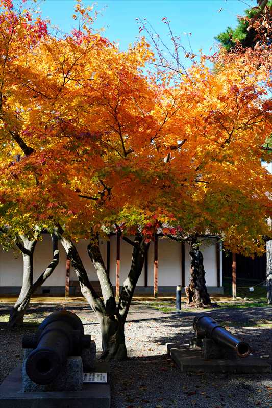 1015_函館五稜郭公園_北海道