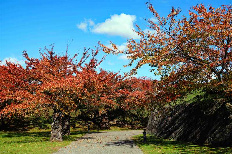 1019_函館五稜郭公園_北海道