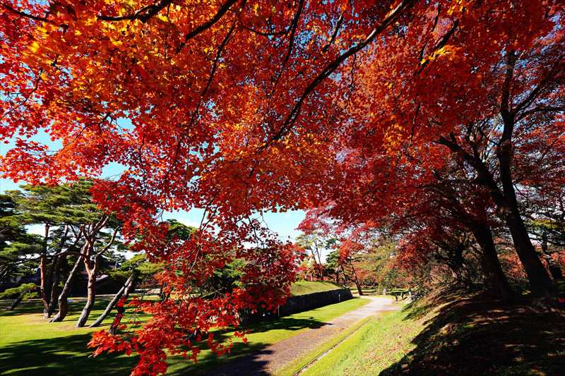 1024_函館五稜郭公園_北海道